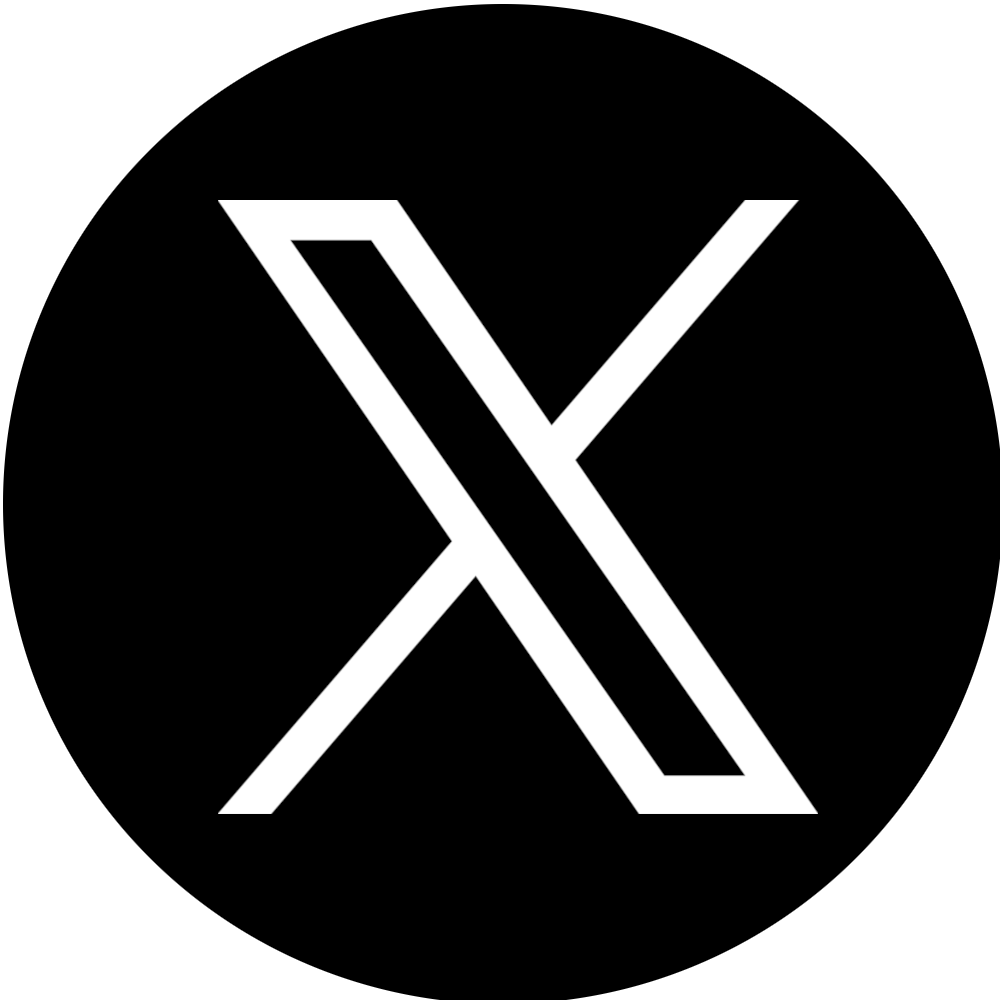 X Icon